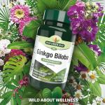 Ginkgo Biloba 120mg, 90 Tablets by Nature’s Aid