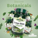 Ginkgo Biloba 120mg, 90 Tablets by Nature’s Aid