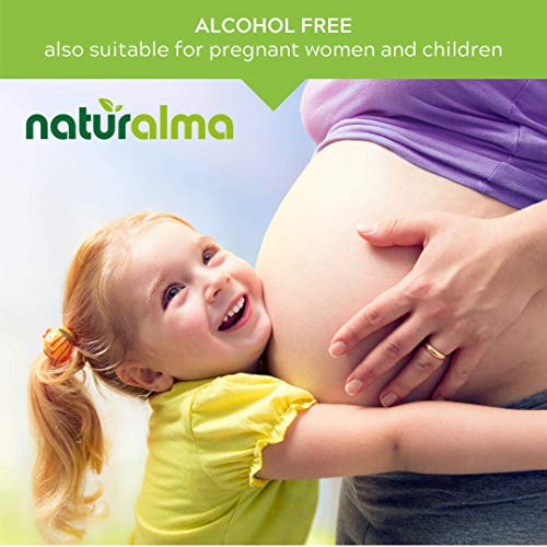 Ginkgo Biloba Alcohol-Free Tincture - 4 fl oz