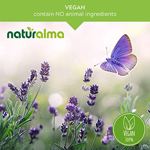 Ginkgo Biloba Alcohol-Free Tincture - 4 fl oz