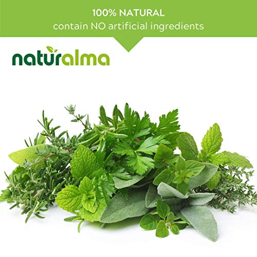Ginkgo Biloba Alcohol-Free Tincture - 4 fl oz