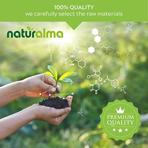 Ginkgo Biloba Alcohol-Free Tincture - 4 fl oz