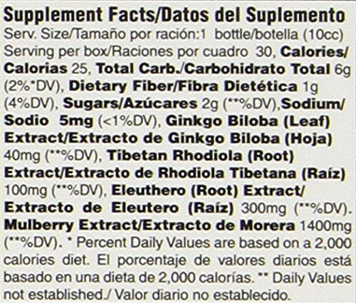 Ginkgo Plus Endurance Formula by Prince Of Peace