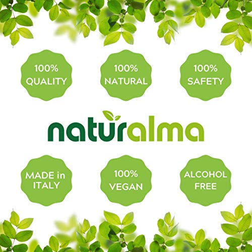 Ginkgo Biloba Alcohol-Free Tincture - 4 fl oz