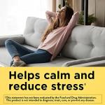 Nature Made Vegan Ashwagandha Gummies for Stress Relief