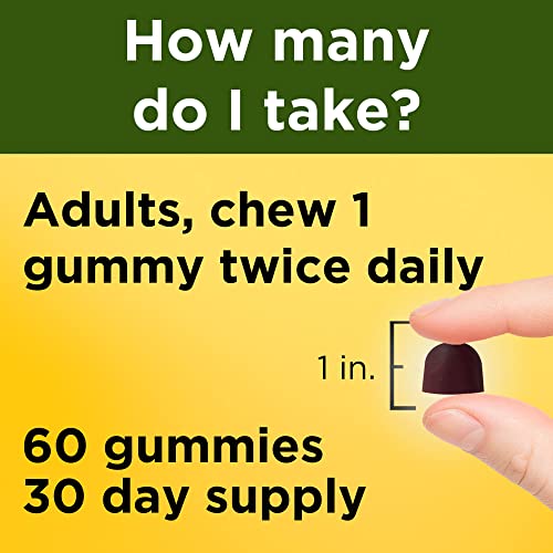 Nature Made Vegan Ashwagandha Gummies for Stress Relief