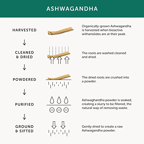 Organic Whole Herb Ashwagandha Capsules, 30 Count