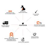 High Strength Vitamin B Complex with Folate 120 Tablets