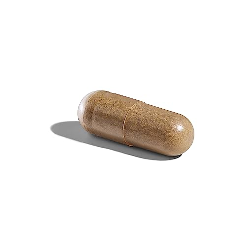 Solgar Ashwagandha Root Extract Capsules - 60 Count
