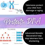 Micronized Trans Resveratrol for Anti-Aging & Heart Health