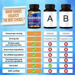 VEGATOT 10 in 1 Resveratrol with Quercetin 90 Count