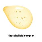 Codeage Liposomal Glutathione Antioxidant - 60 Caps