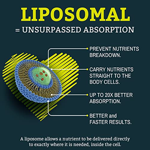 Liposomal Vegan CoQ10 1000 mg - Heart Support