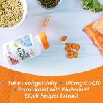 Doctor's Best High Absorption CoQ10 100mg 120 Count