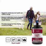 High Absorption CoQ10 300mg Vegetarian Softgels