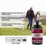 High Absorption CoQ10 300mg - 90 Softgels