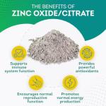 PurePremium 50mg Zinc for Immune Support - 100 Tablets