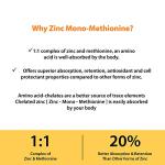 50mg Zinc Supplement for Immune Support - 120 Capsules