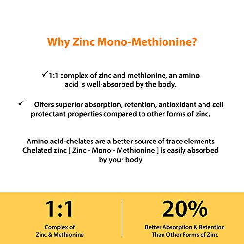 50mg Zinc Supplement for Immune Support - 120 Capsules