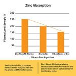 50mg Zinc Supplement for Immune Support - 120 Capsules