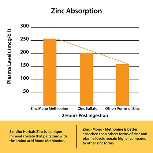 50mg Zinc Supplement for Immune Support - 120 Capsules