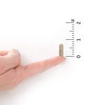 Garden Of Life Vegan Vitamin Code Zinc Capsules