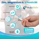 Zinc, Magnesium & B6 for Sleep, Muscle & Energy