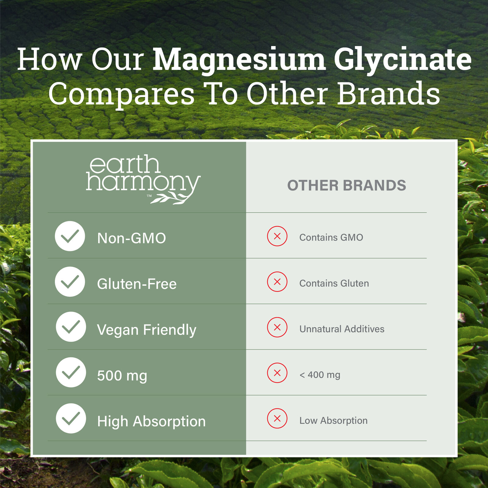 Chelated Magnesium Glycinate 500 mg - 120 Caps