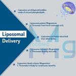 Liposomal Magnesium L-Threonate with D3 & K2