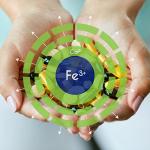 Blueiron Liquid Iron with Blueberries & Vitamins