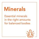 Calcium D-Glucarate 500mg Veggie Capsules