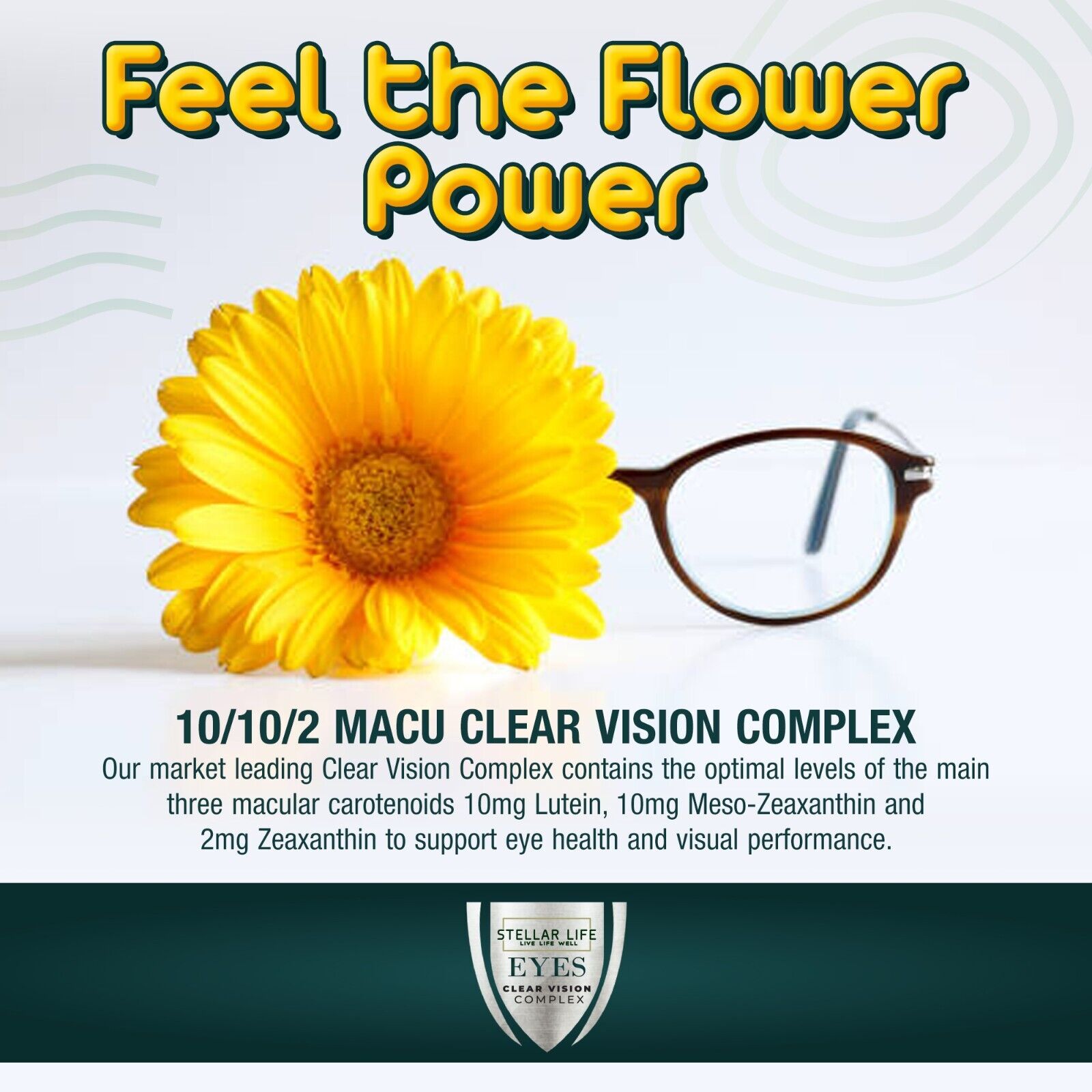Vegan Eye Vitamin & Mineral Supplement for Clear Vision