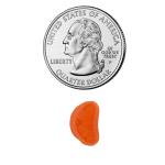 100 Clear Mini Christmas Lights on Green Wire