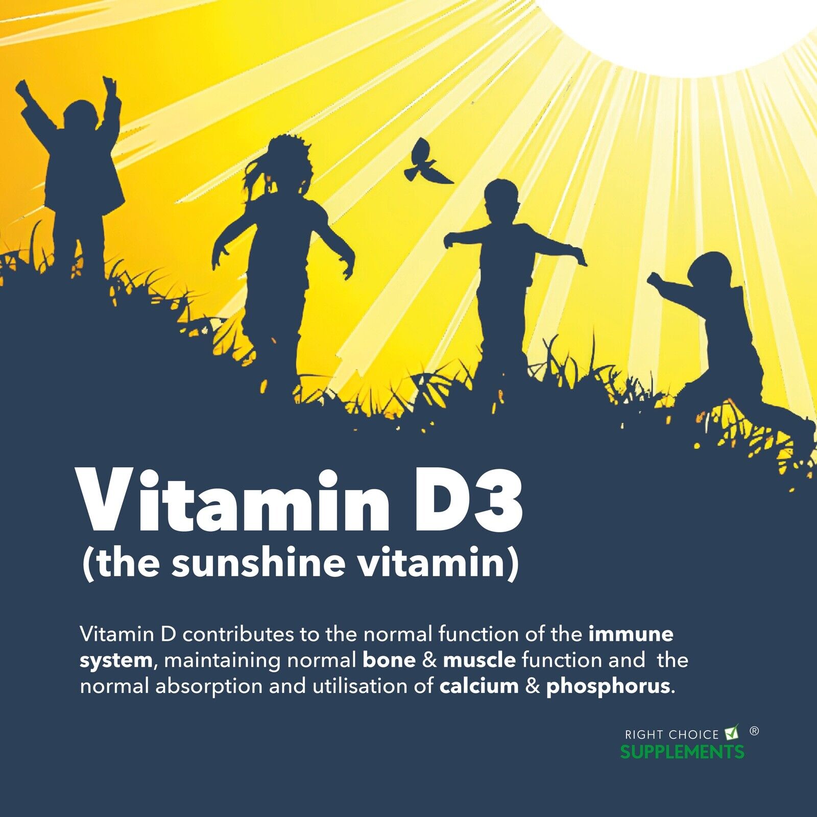 Vitamin D 1000iu - 365 Easy-Swallow Tablets