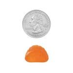 Spring Valley Sugar-Free Vitamin C Gummies, 120 Count