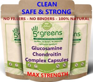 High Strength Glucosamine, Chondroitin & MSM 1600mg