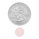 Spring Valley Cherry B12 Quick-Dissolve Tablets, 2500 Mcg