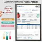 Vitamin B Complex with Vitamin C - 365 Tablets