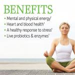 Garden of Life Raw B Complex - Vegan Energy Boost