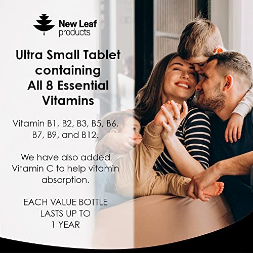 High Strength Vitamin B Complex - 365 Tablets