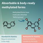 High-Potency Methylated B Complex with Vitamin C