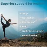 High-Potency Methylated B Complex with Vitamin C