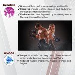 Creatine MAX Gummies - Vegan, Sugar Free, 5000mg