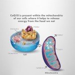 High-Potency CoQ10 200mg Supplement for Energy