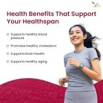 Ved Anti-Aging Resveratrol 1000 mg | 90 Tablets