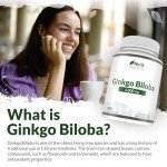 Ginkgo Biloba 6000mg Vegan Tablets - 400 Count