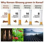Korean Red Ginseng Extract for Immunity and Focus