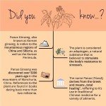 Panax Ginseng Coreano Vegavero® - 4800 mg