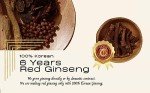 Korean Red Ginseng 240g Pure Extract Tea
