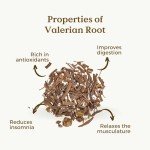 Organic Valerian Root Tea, 100g Loose Herb